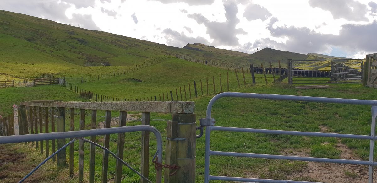 Gisborne Farm Environment Plans