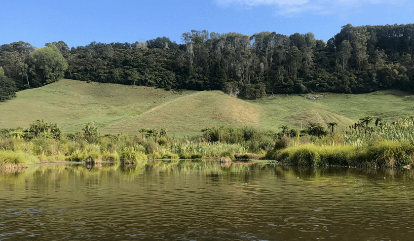 Wetland with riparian planting